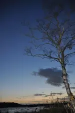 blaue Stunde.webp