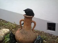Foto0073.webp