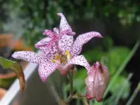 001_1024x768.webp
