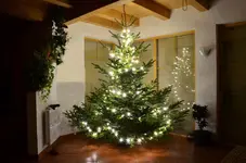 281683_4402856352782_2005800937_n.webp