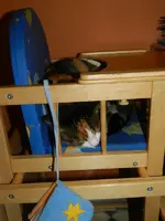 DSCN1467.webp