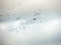 DSCN1472.webp
