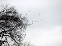 DSCN1474.webp