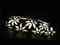 02112013 063.webp