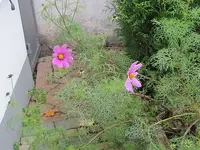 023.webp