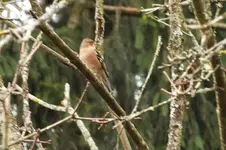 2013_1101Herbst0045.webp