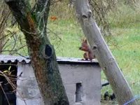 P1000917.webp