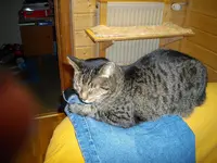 IMGP0535.webp