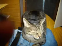 IMGP0536.webp