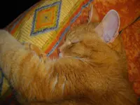 IMGP0538.webp