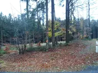 SAM_1800.webp