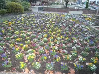 SAM_1802.webp
