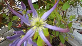 DSCN6014.webp
