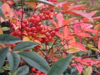 Bild 2330.webp