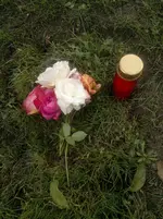 2013-11-05-155.webp