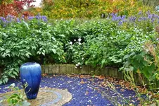 BLAUE VASE.webp