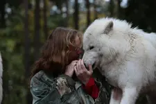 wölfe 049.webp
