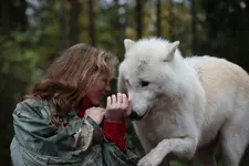 wölfe 080.webp