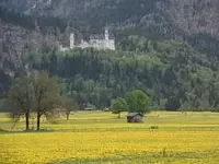 16 JGosub.webp