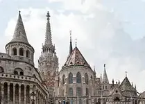 25 Feli871.webp
