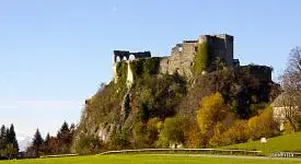 27 Schneerose 1.webp