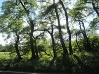 191.webp