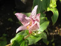 001_1024x768.webp
