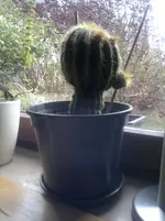 2013-11-06-156.webp