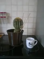 2013-11-06-160.webp
