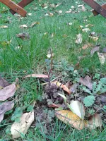 2013-11-07 09.11.27.webp