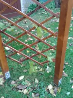 2013-11-07 09.12.51.webp