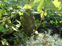 SAM_2446.webp