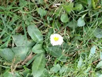 IMG_1076.webp
