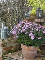 Herbst6.webp