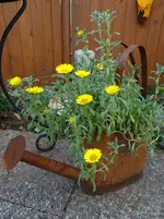 Herbst7.webp