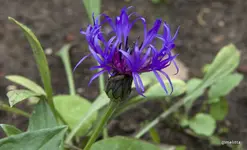 IMG_9790.webp