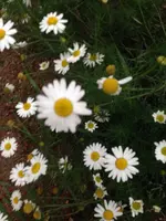 002.webp