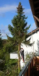 P1070441.webp