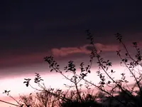 Abendhimmel_2157.webp