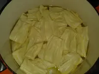 02112013 012.webp
