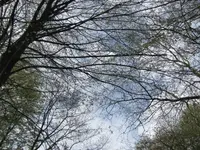 002.webp