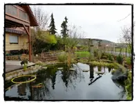 Teich (1).webp