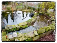 Teich (2).webp