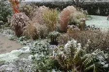 2013_1110Herbst0007.webp