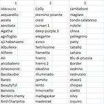 pepperparma.webp