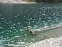 030.webp