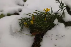 2013_1111Herbst0003.webp