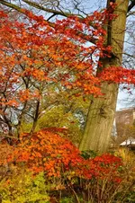 DSC_6264.webp