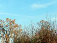 DSCN2291.webp