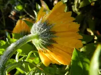DSCN2259.webp